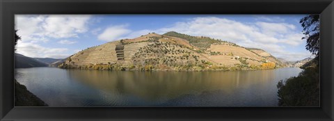 Framed Vineyards at the riverside, Cima Corgo, Duoro River, Douro Valley, Portugal Print