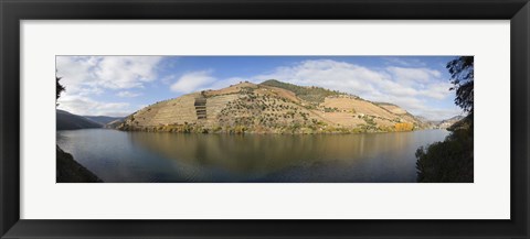 Framed Vineyards at the riverside, Cima Corgo, Duoro River, Douro Valley, Portugal Print