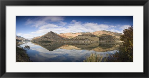 Framed Reflection of Vineyards in the River, Cima Corgo, Duoro River, Portugal Print