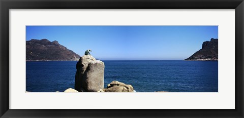 Framed Bronze leopard statue on a boulder, Hout Bay, Cape Town, Western Cape Province, South Africa Print