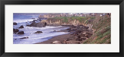 Framed Beach in San Luis Obispo County, California Print