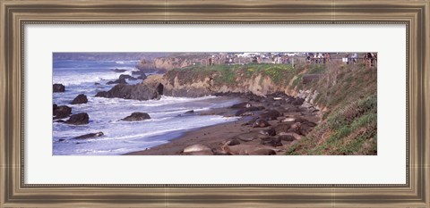 Framed Beach in San Luis Obispo County, California Print