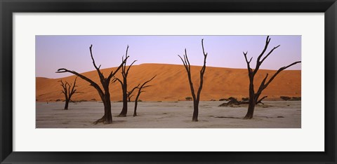 Framed Dead trees in a desert at sunrise, Dead Vlei, Sossusvlei, Namib-Naukluft National Park, Namibia Print