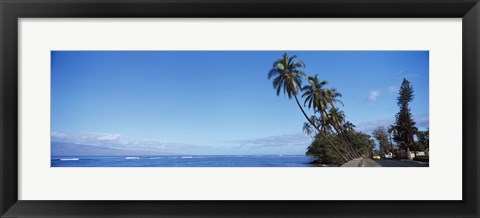 Framed Palm trees on the coast, Lahaina, Maui, Hawaii, USA Print