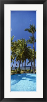 Framed Palm Trees in Maui, Hawaii (vertical) Print