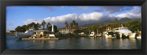 Framed Boats at a harbor, Lahaina Harbor, Lahaina, Maui, Hawaii, USA Print