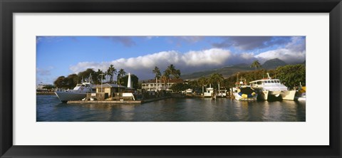 Framed Boats at a harbor, Lahaina Harbor, Lahaina, Maui, Hawaii, USA Print