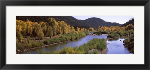 Framed River flowing through a forest, Jackson, Jackson Hole, Teton County, Wyoming, USA Print