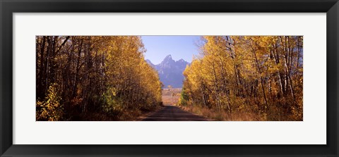 Framed Road passing through a forest, Grand Teton National Park, Teton County, Wyoming, USA Print