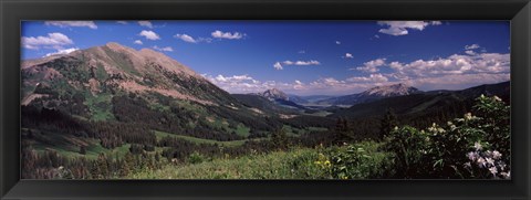 Framed Wildflowers with mountains in the background, Crested Butte, Gunnison County, Colorado, USA Print