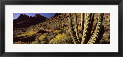 Framed Desert Landscape, Organ Pipe Cactus National Monument, Arizona, USA Print