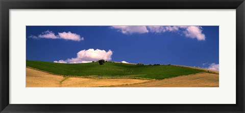 Framed Agricultural field, Ronda, Malaga Province, Andalusia, Spain Print