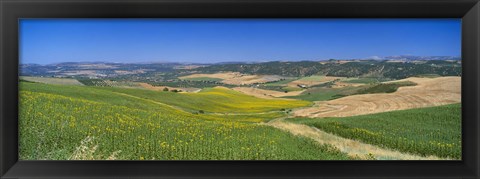 Framed Agricultural fields, Ronda, Malaga, Andalusia, Spain Print