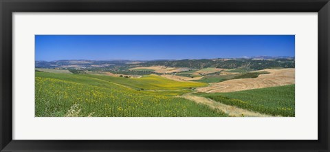 Framed Agricultural fields, Ronda, Malaga, Andalusia, Spain Print