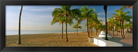 Framed Palm trees on the beach, Las Olas Boulevard, Fort Lauderdale, Florida, USA Print