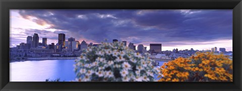 Framed Blooming flowers with Montreal skyline, Quebec, Canada 2010 Print