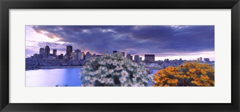 Framed Blooming flowers with Montreal skyline, Quebec, Canada 2010 Print