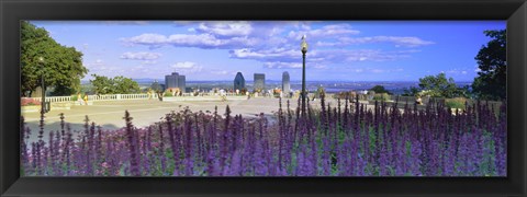 Framed Blooming flowers with city skyline in the background, Kondiaronk Belvedere, Mt Royal, Montreal, Quebec, Canada 2010 Print