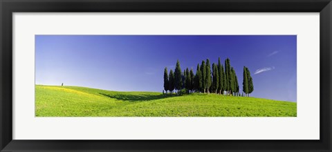 Framed Trees on a landscape, Val D&#39;Orcia, Siena Province, Tuscany, Italy Print