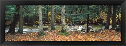 Framed River flowing through a forest, White Mountain National Forest, New Hampshire, USA Print