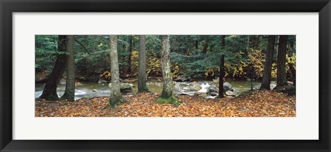 Framed River flowing through a forest, White Mountain National Forest, New Hampshire, USA Print