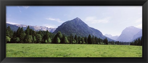 Framed Trees on a hill with mountain range in the background, Karwendel Mountains, Risstal Valley, Hinterriss, Tyrol, Austria Print