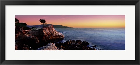 Framed Silhouette of Lone Cypress Tree at a coast, 17-Mile Drive, Carmel, Monterey County, California, USA Print