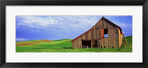 Framed Dilapidated barn in a farm, Palouse, Whitman County, Washington State, USA Print