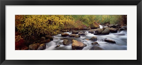 Framed Stream flowing through a forest, Inyo County, California, USA Print