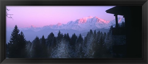 Framed Trees with snow covered mountains at sunset in winter, Combloux, Mont Blanc Massif, Haute-Savoie, Rhone-Alpes, France Print