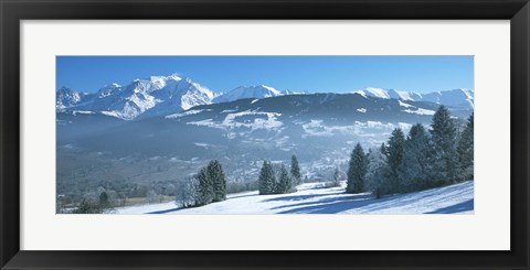 Framed Trees with snow covered mountains in winter, Combloux, Mont Blanc Massif, Haute-Savoie, Rhone-Alpes, France Print