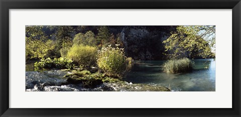 Framed Trees and plants at the lakeside, Plitvice Lake, Plitvice Lakes National Park, Croatia Print