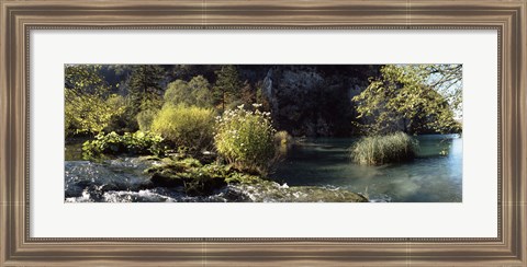 Framed Trees and plants at the lakeside, Plitvice Lake, Plitvice Lakes National Park, Croatia Print