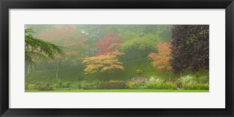 Framed Colored Trees in Butchart Gardens, Vancouver Island, British Columbia, Canada Print