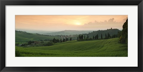 Framed Trees on a hill, Monticchiello Di Pienza, Val d&#39;Orcia, Siena Province, Tuscany, Italy Print