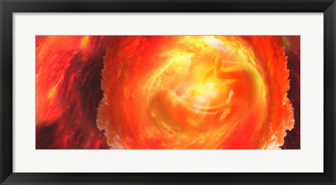 Framed Baby in uterus Print