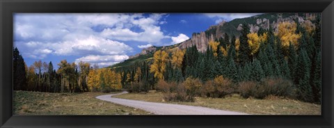 Framed Road passing through a forest, Jackson Guard Station, Ridgway, Colorado, USA Print