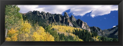 Framed Forest on a mountain, Jackson Guard Station, Ridgway, Colorado, USA Print