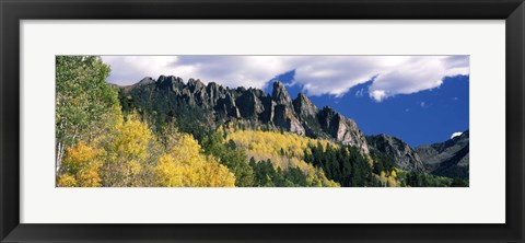 Framed Forest on a mountain, Jackson Guard Station, Ridgway, Colorado, USA Print