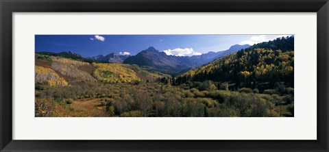 Framed Trees on mountains, State Highway 62, Ridgway, Colorado, USA Print