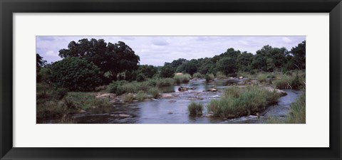 Framed Sabie River, Kruger National Park, South Africa Print