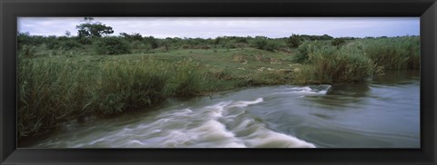 Framed River flowing through a forest, Sabie River, Kruger National Park, South Africa Print