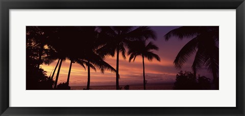 Framed Palm trees on the coast, Colombia (pink sky) Print