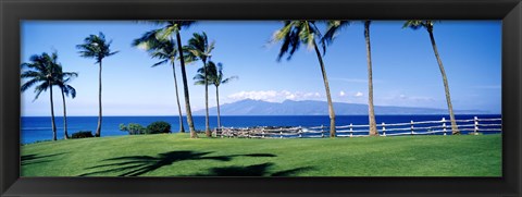 Framed Palm trees at the coast, Ritz Carlton Hotel, Kapalua, Molokai, Maui, Hawaii, USA Print