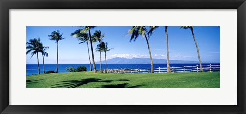 Framed Palm trees at the coast, Ritz Carlton Hotel, Kapalua, Molokai, Maui, Hawaii, USA Print