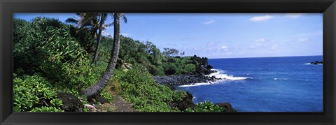 Framed Palm trees with plants growing at a coast, Black Sand Beach, Hana Highway, Waianapanapa State Park, Maui, Hawaii, USA Print