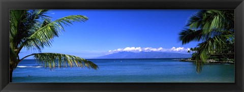 Framed Palm trees on the beach, Kapalua Beach, Molokai, Maui, Hawaii, USA Print