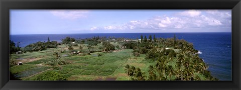 Framed Keanae Peninsula, Hana, Maui, Hawaii, USA Print