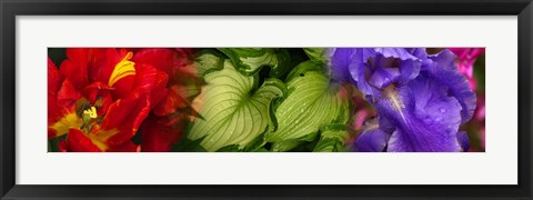 Framed Tulip and Iris flowers Print