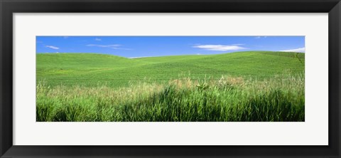 Framed Rolling green hill, Palouse, Whitman County, Washington State, USA Print